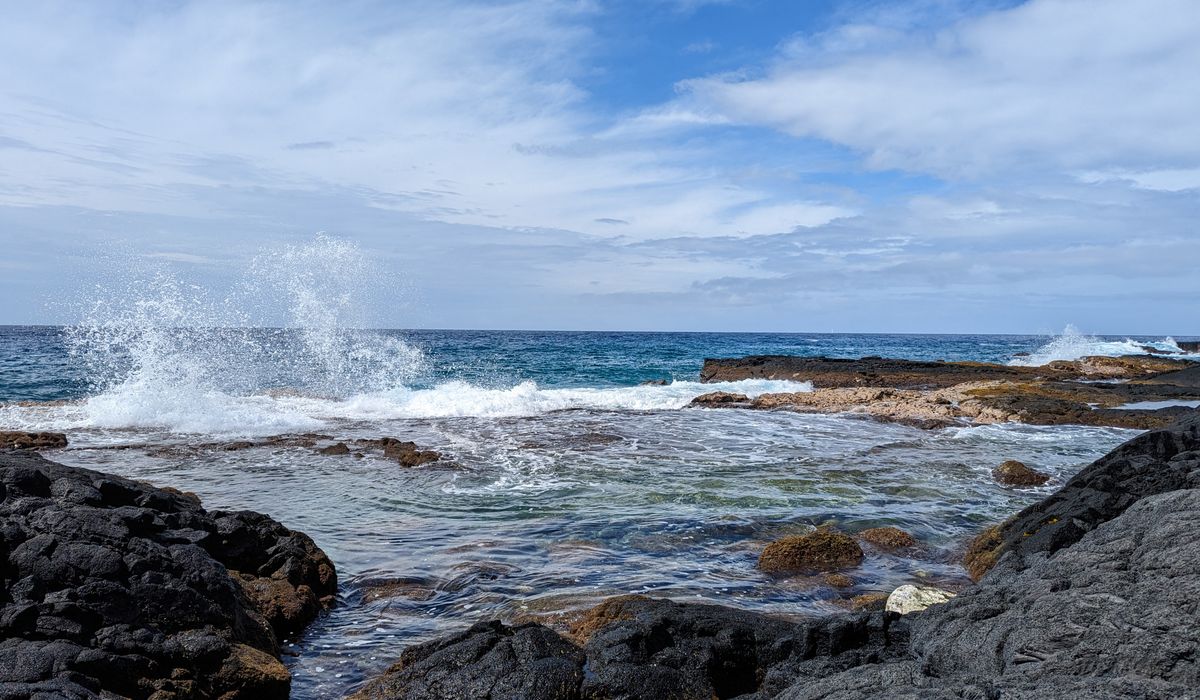 How to Watch Seals Without Disturbing Them