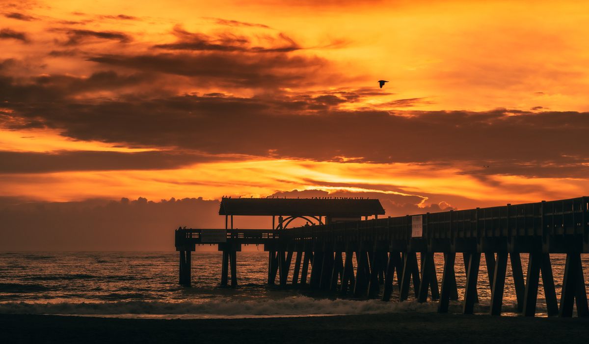 Understanding Beach Flags and Lifeguard Warnings