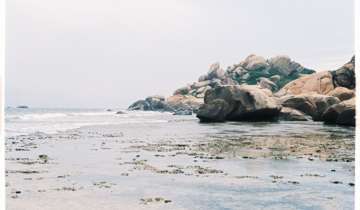 Where to Find Fresh Local Seafood